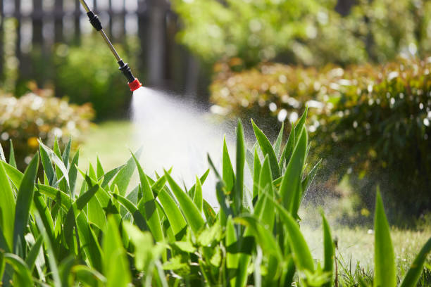 24/7 Emergency Wasp Removal experts in Durand, IL